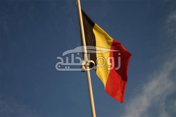 ما هو عدد سكان بلجيكا 2021؟